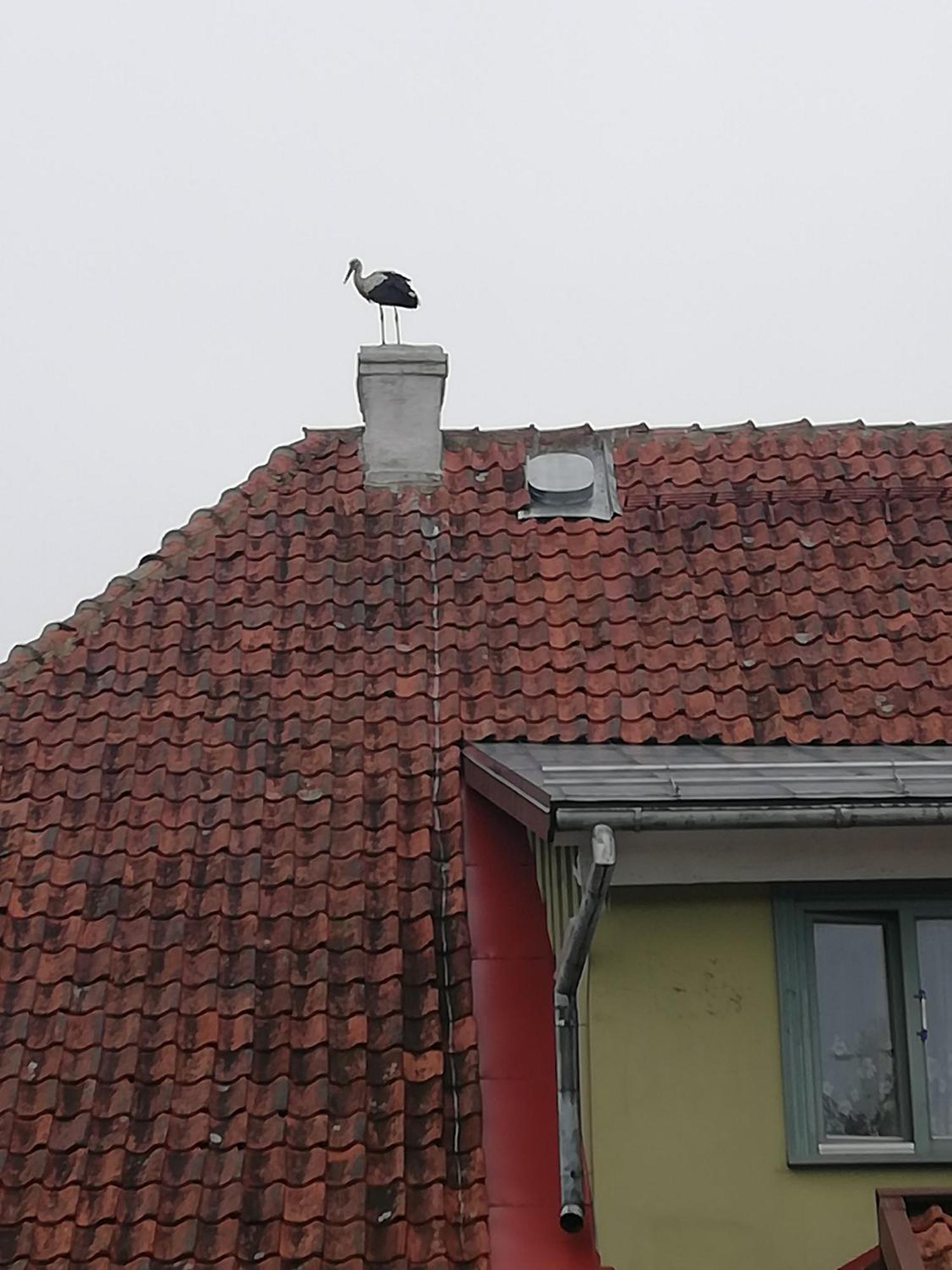 Starka Apartamenti Kuldiga Luaran gambar